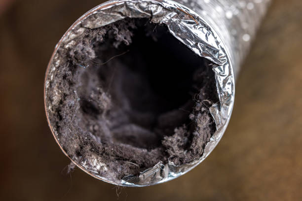 Best Air Duct Cleaning Near Me  in West Wyoming, PA