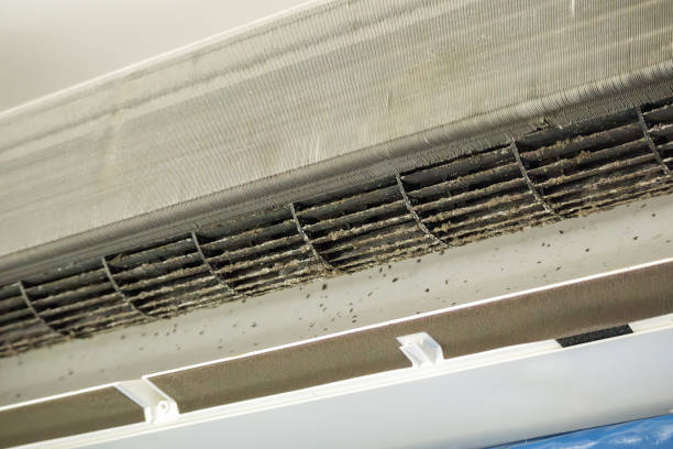 Best Local Air Duct Cleaning Services  in West Wyoming, PA