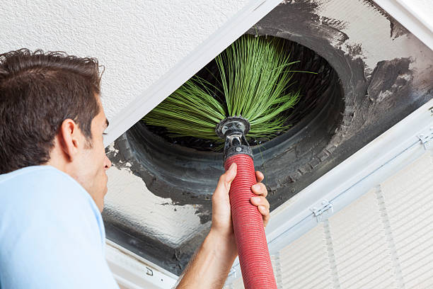 Best Affordable Air Duct Cleaning  in West Wyoming, PA